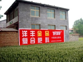  兴文如何让墙体广告展现最大化效果