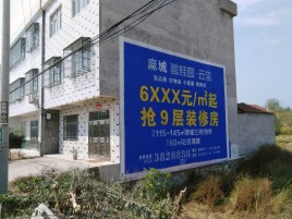  兴文墙体广告质量分析
