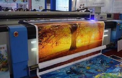  兴文写真有哪些介质？