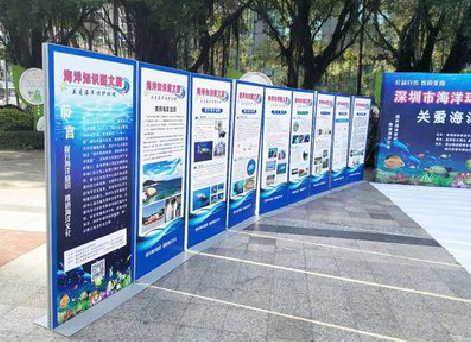  兴文KT板的种类和知识。